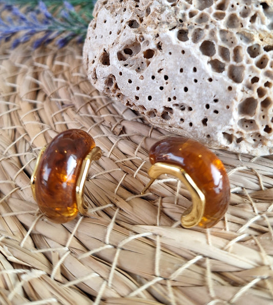 Small Stud Brown Earrings