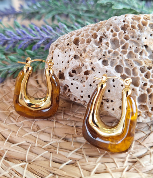 Brown U Shaped Earrings