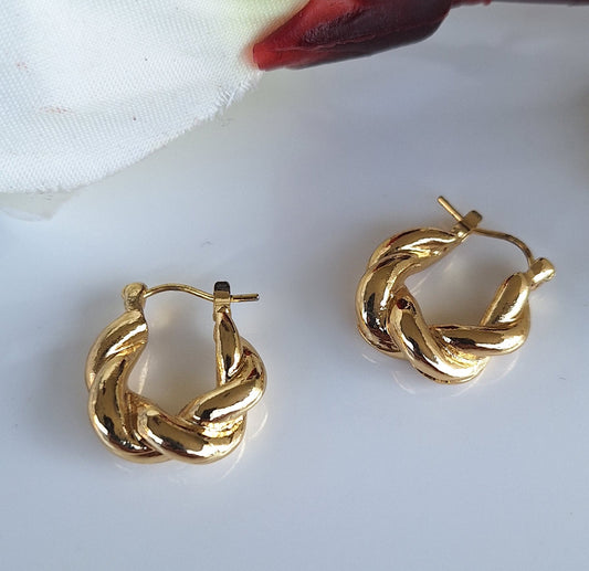 Twisted Hoop Earrings