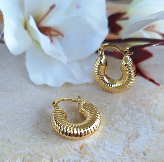 Minimalist Striped Hoops