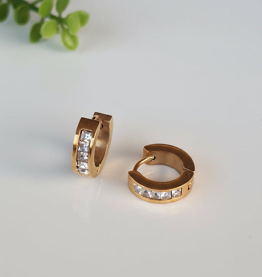 Zirconia Stud Earrings