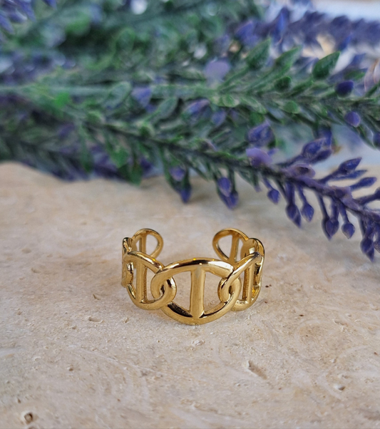 Oval Chain Ring