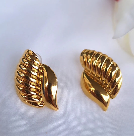 Seashell Earrings