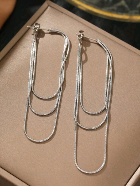 Silver Tassel Earrings